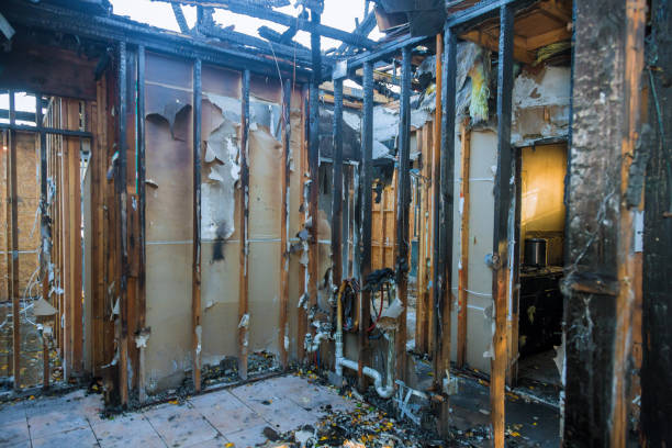 Professional Soot Cleanup technician working in Adamstown, MD